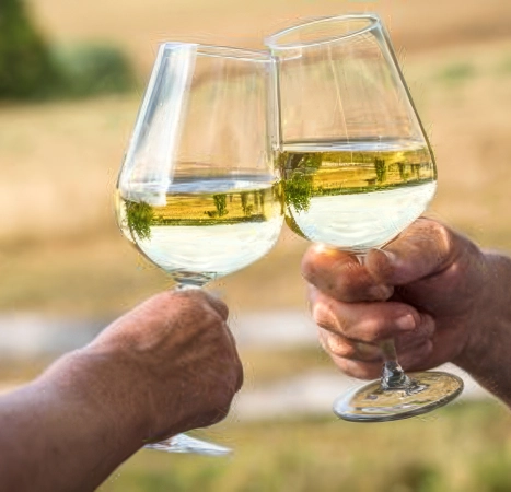 Vins rouges des Cévennes à Alès